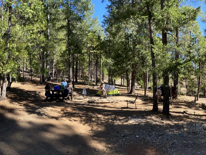 Shirttail Creek Campground Campsite 29