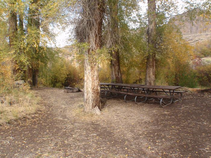 Picnic Tables at the campsitePicnic Table Dining area