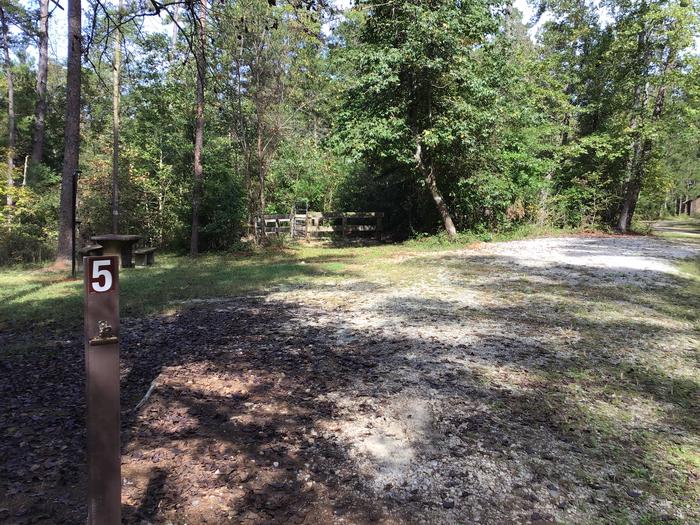A photo of Site 05 of Loop Woods Ferry at Woods Ferry Campground (SC) with Picnic Table
