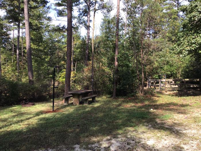 A photo of Site 05 of Loop Woods Ferry at Woods Ferry Campground (SC) with Fire Pit, Lantern Pole