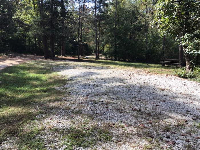 A photo of Site 05 of Loop Woods Ferry at Woods Ferry Campground (SC) with No Amenities Shown