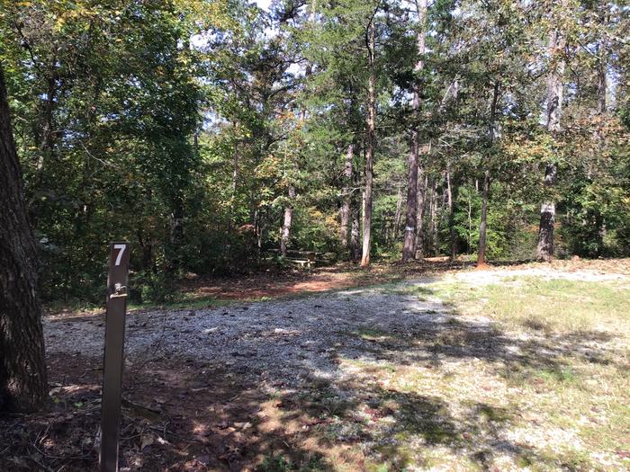 A photo of Site 07 of Loop Woods Ferry at Woods Ferry Campground (SC) with No Amenities Shown