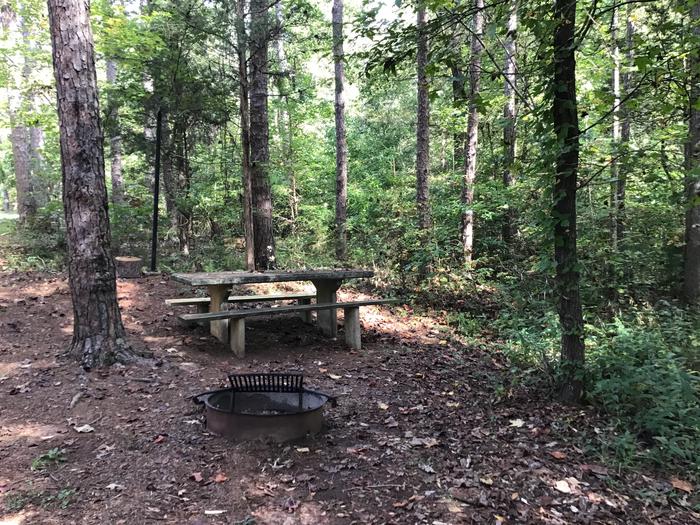 A photo of Site 06 of Loop Woods Ferry at Woods Ferry Campground (SC) with Picnic Table, Fire Pit, Lantern Pole