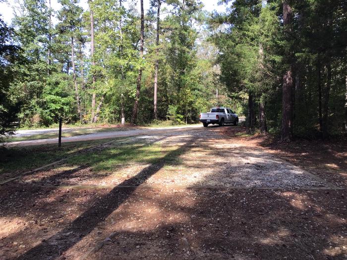 A photo of Site 06 of Loop Woods Ferry at Woods Ferry Campground (SC) with No Amenities Shown