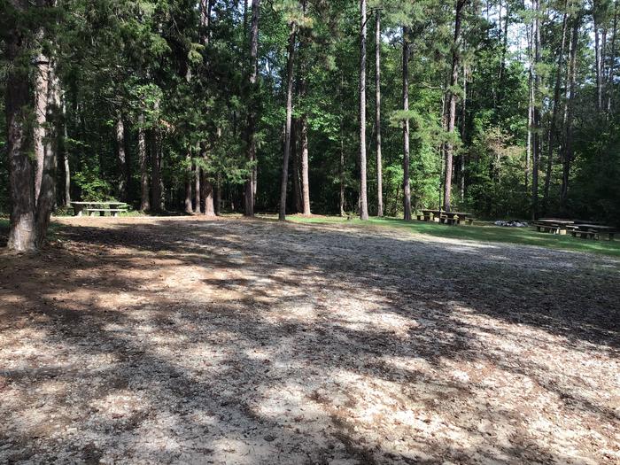 A photo of Site 10 of Loop Woods Ferry at Woods Ferry Campground (SC) with Picnic Table, Fire Pit, Lantern Pole