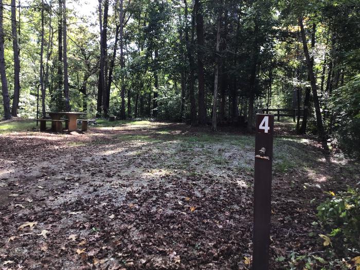 A photo of Site 04 of Loop Woods Ferry at Woods Ferry Campground (SC) with Picnic Table, Lantern Pole