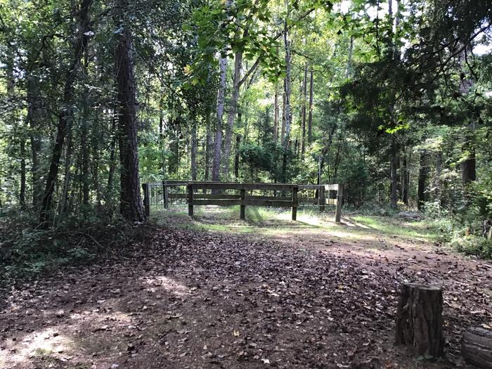 A photo of Site 04 of Loop Woods Ferry at Woods Ferry Campground (SC) with No Amenities Shown