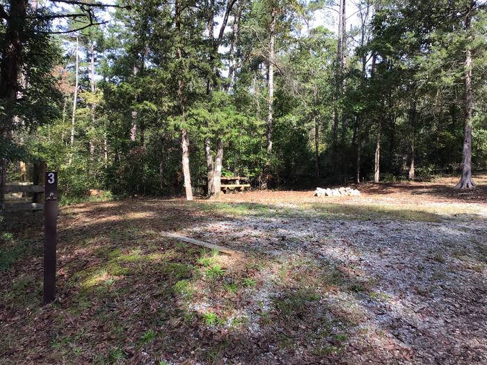 A photo of Site 03 of Loop Woods Ferry at Woods Ferry Campground (SC) with Picnic Table, Fire Pit, Lantern Pole