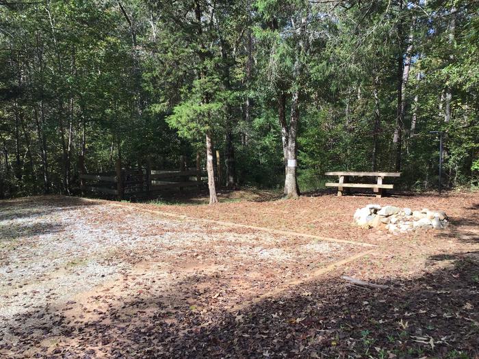 A photo of Site 03 of Loop Woods Ferry at Woods Ferry Campground (SC) with Picnic Table, Fire Pit, Lantern Pole