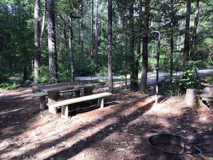 A photo of Site 01 of Loop Woods Ferry at Woods Ferry Campground (SC) with Picnic Table, Fire Pit, Lantern Pole