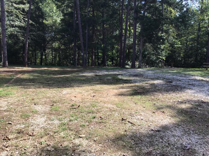 A photo of Site 08 of Loop Woods Ferry at Woods Ferry Campground (SC) with No Amenities Shown