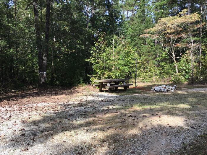 A photo of Site 09 of Loop Woods Ferry at Woods Ferry Campground (SC) with Picnic Table, Fire Pit, Lantern Pole