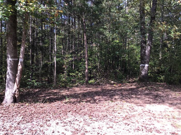 A photo of Site 09 of Loop Woods Ferry at Woods Ferry Campground (SC) with No Amenities Shown