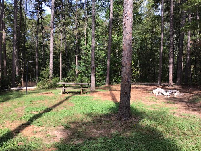A photo of Site 13 of Loop Woods Ferry at Woods Ferry Campground (SC) with Picnic Table, Fire Pit, Lantern Pole