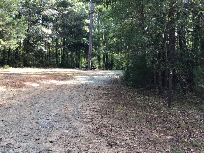 A photo of Site 02 of Loop Woods Ferry at Woods Ferry Campground (SC) with Picnic Table, Lantern Pole