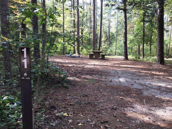 A photo of Site 11 of Loop Woods Ferry at Woods Ferry Campground (SC) with Picnic Table, Fire Pit, Lantern Pole