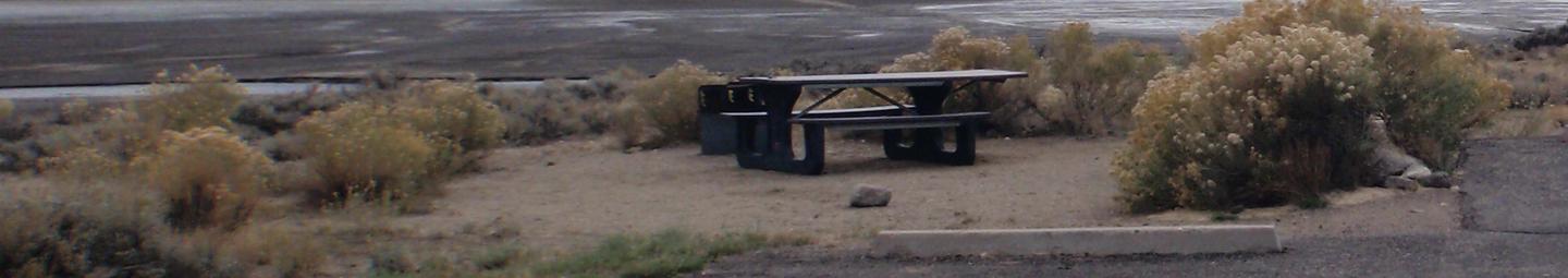 Campsite 9:picnic table, and firepit. Set in sagebrush.Loop A Site 9