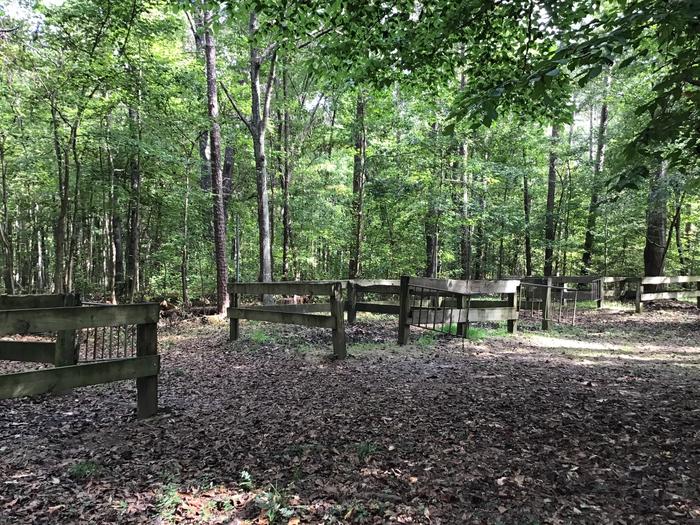 A photo of Site 10 of Loop Woods Ferry at Woods Ferry Campground (SC) with No Amenities Shown