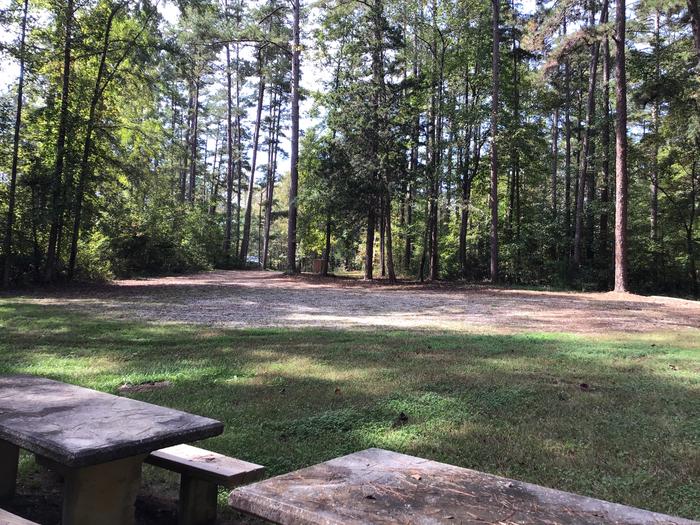 A photo of Site 10 of Loop Woods Ferry at Woods Ferry Campground (SC) with Picnic Table