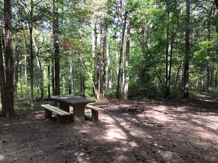 A photo of Site 12 of Loop Woods Ferry at Woods Ferry Campground (SC) with Picnic Table, Fire Pit, Lantern Pole