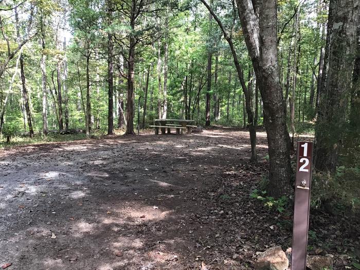 A photo of Site 12 of Loop Woods Ferry at Woods Ferry Campground (SC) with Picnic Table, Lantern Pole
