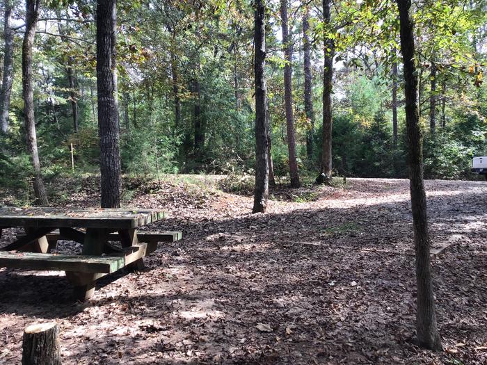 A photo of Site 16 of Loop Woods Ferry at Woods Ferry Campground (SC) with Picnic Table