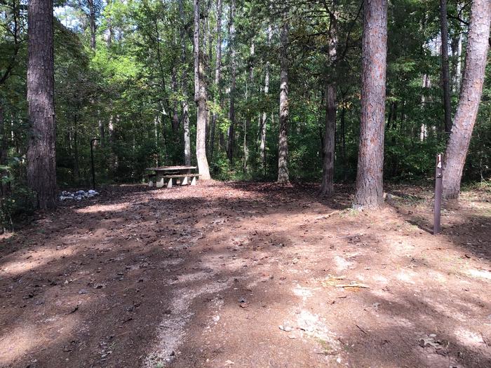 A photo of Site 14 of Loop Woods Ferry at Woods Ferry Campground (SC) with Picnic Table, Fire Pit, Lantern Pole