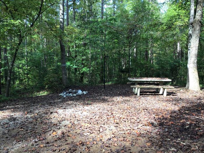 A photo of Site 14 of Loop Woods Ferry at Woods Ferry Campground (SC) with Picnic Table, Fire Pit, Lantern Pole
