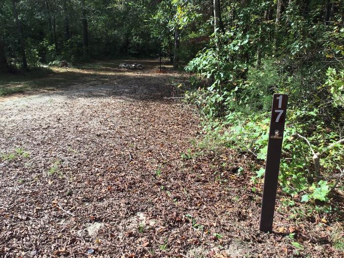 A photo of Site 17 of Loop Woods Ferry at Woods Ferry Campground (SC) with No Amenities Shown