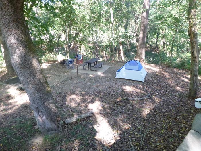 E Loop Site #79-9E Loop Site #79, 25' back-in with 16' x 16' tent area.