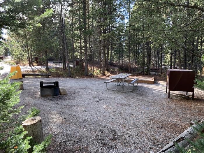 A photo of Site 55 of Loop 2 at Signal Mountain Lodge Campground with Picnic Table, Fire Pit, Shade, Food Storage, Tent PadADA Accessible.