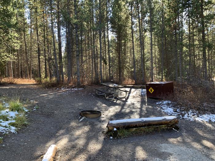 A photo of Site 40 of Loop 2 at Signal Mountain Lodge Campground with Picnic Table, Fire Pit, Shade, Food Storage, Tent Pad