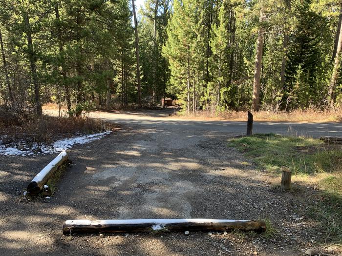 A photo of Site 40 of Loop 2 at Signal Mountain Lodge Campground with Picnic Table, Fire Pit, Shade, Food Storage, Tent Pad