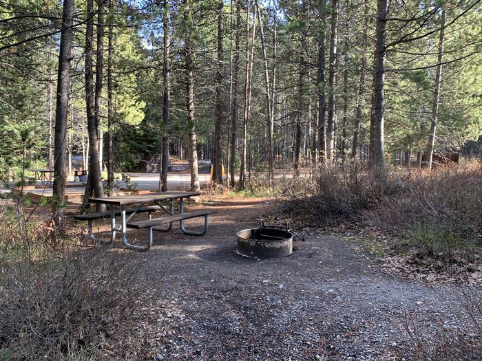 A photo of Site 52 of Loop 2 at Signal Mountain Lodge Campground with Picnic Table, Fire Pit, Shade, Food Storage
