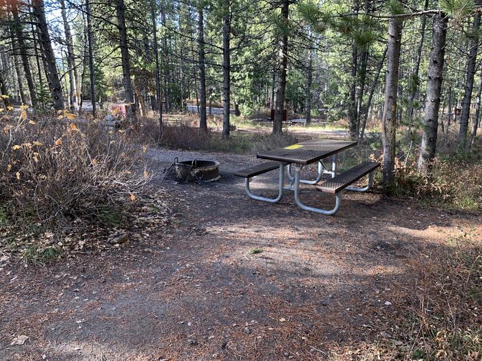 A photo of Site 52 of Loop 2 at Signal Mountain Lodge Campground with Picnic Table, Fire Pit, Shade, Food Storage