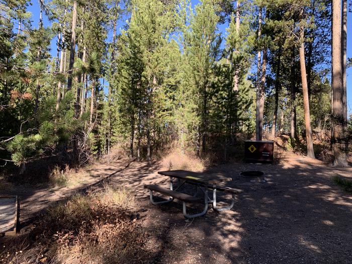 A photo of Site 38 of Loop 2 at Signal Mountain Lodge Campground with Picnic Table, Fire Pit, Shade, Food Storage, Tent Pad