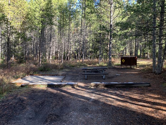 A photo of Site 47 of Loop 2 at Signal Mountain Lodge Campground with Picnic Table, Fire Pit, Shade, Food Storage, Tent Pad