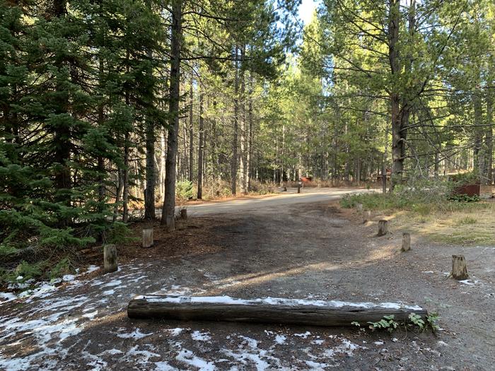 A photo of Site 56 of Loop 2 at Signal Mountain Lodge Campground with Picnic Table, Fire Pit, Shade, Food Storage, Tent Pad