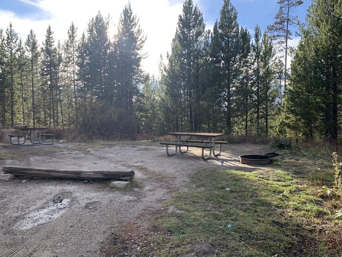 A photo of Site 31 of Loop 1 at Signal Mountain Lodge Campground with Picnic Table, Electricity Hookup, Fire Pit, Shade, Food Storage