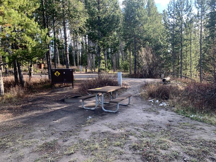 A photo of Site 30 of Loop 1 at Signal Mountain Lodge Campground with Picnic Table, Electricity Hookup, Fire Pit, Shade, Food Storage, Tent Pad