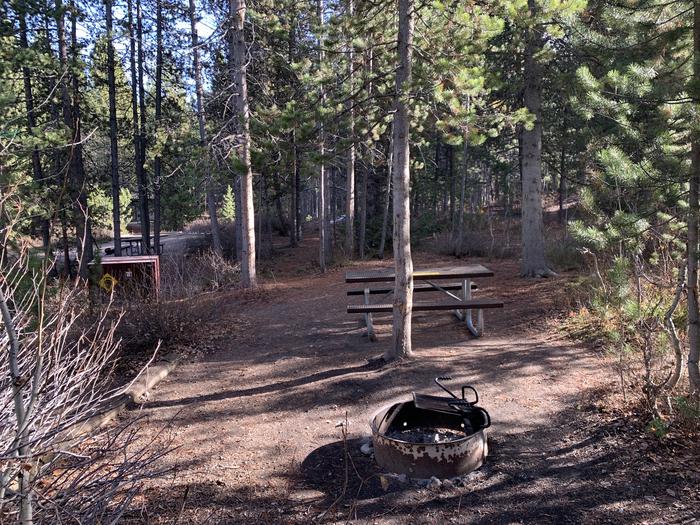 A photo of Site 51 of Loop 2 at Signal Mountain Lodge Campground with Picnic Table, Fire Pit, Shade, Food Storage, Tent Pad