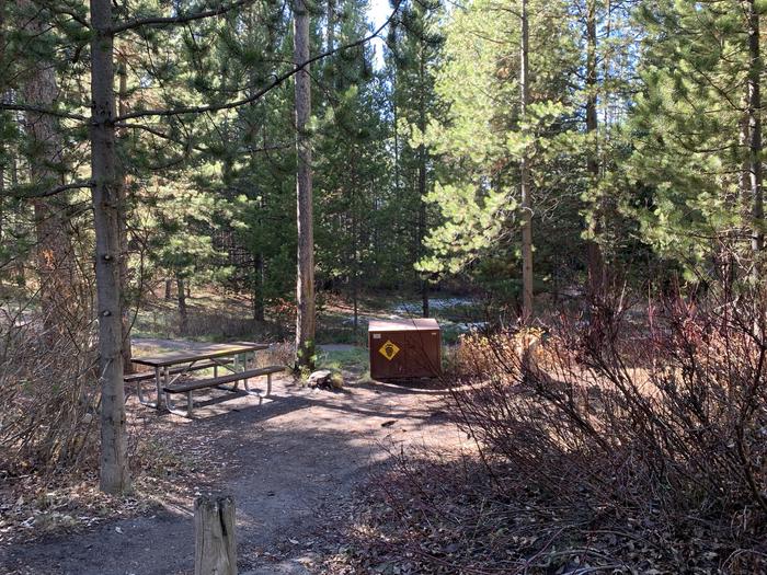 A photo of Site 41 of Loop 2 at Signal Mountain Lodge Campground with Picnic Table, Fire Pit, Shade, Food Storage
