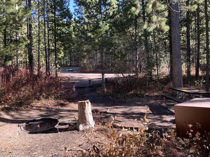 A photo of Site 41 of Loop 2 at Signal Mountain Lodge Campground with Picnic Table, Fire Pit, Shade, Food Storage