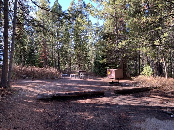 A photo of Site 48 of Loop 2 at Signal Mountain Lodge Campground with Picnic Table, Fire Pit, Shade, Food Storage