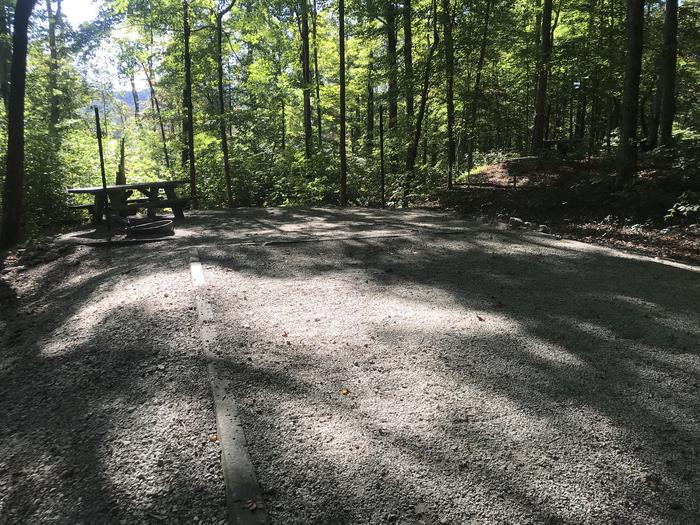A photo of Site F013 of Loop F at TWIN KNOBS CAMPGROUND with Picnic Table, Fire Pit, Shade, Tent Pad, Lantern Pole
