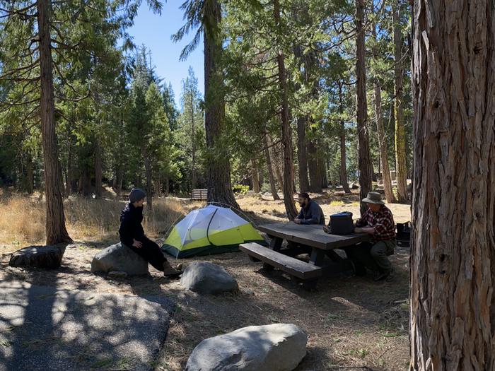 French Meadows Campground Campsite 60 
