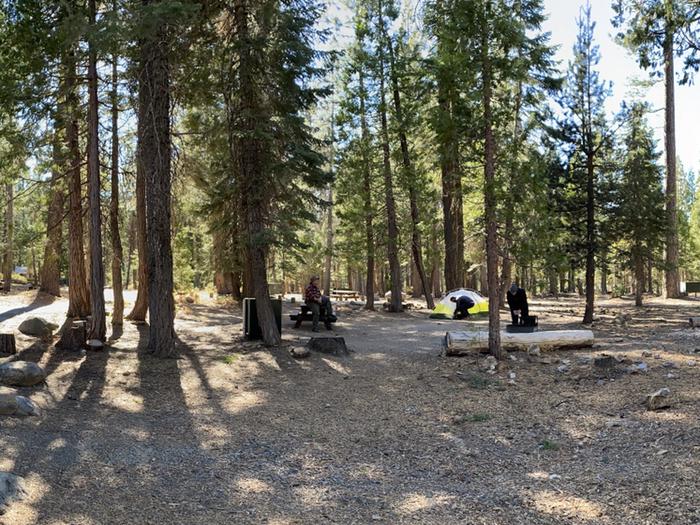 French Meadows Campground Campsite 64