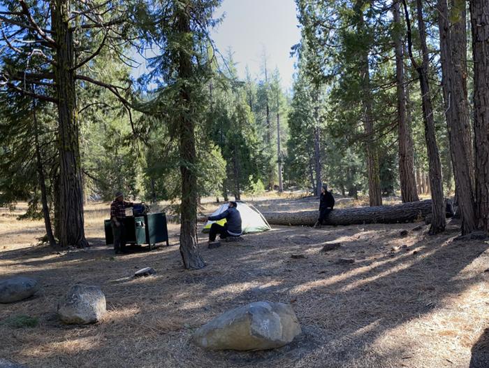 French Meadows Campground Campsite 66