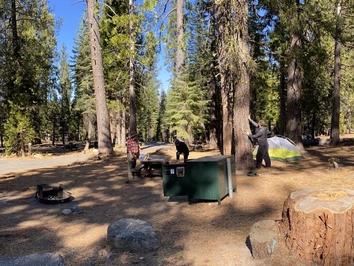 French Meadows Campground Campsite 67 
