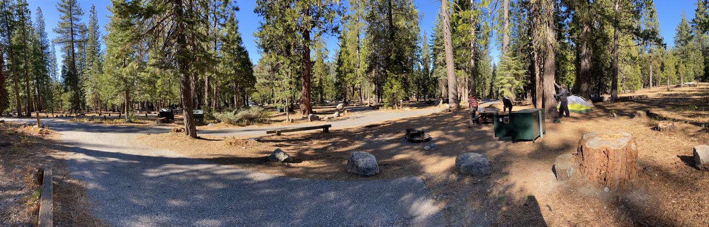 French Meadows Campsite 67